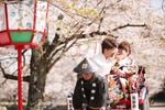 ひこにゃんで有名な滋賀県彦根市での桜和装ロケーション撮影【彦根城】