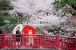福井県からお越し頂いたカップルの洋装和装ロケーションフォトのご紹介。