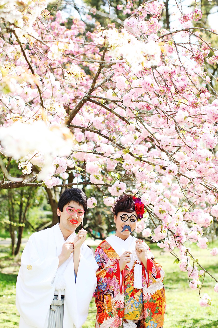 京都桜和装