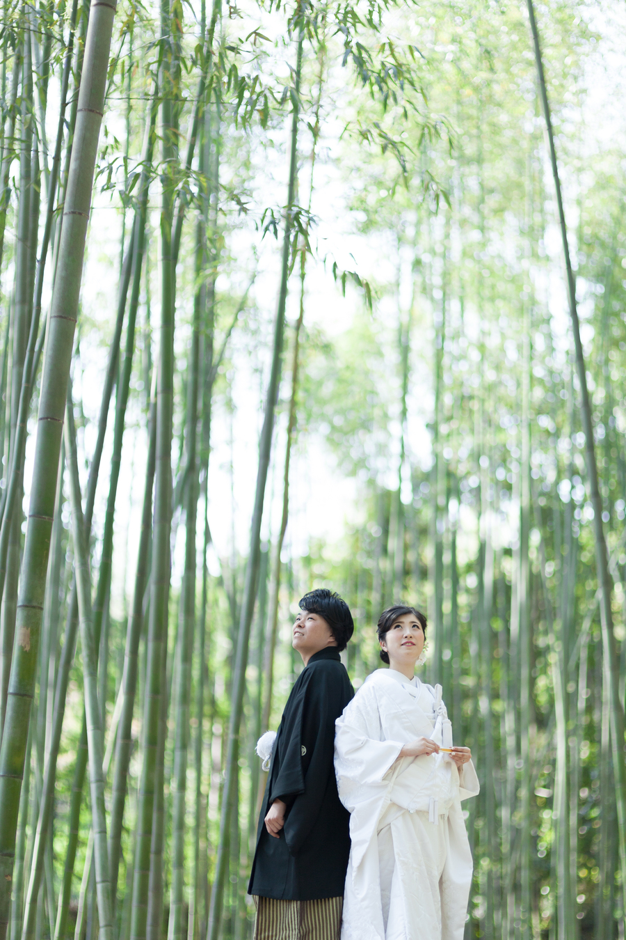 京都嵐山竹林