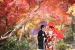 福井も紅葉シーズン到来　天気の良い日は撮影をしませんか？