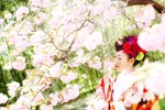 [オススメ]京都で桜ロケーションフォトウェディングのご紹介