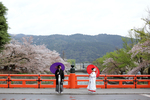 [京都]和装で桜フォトウェディング